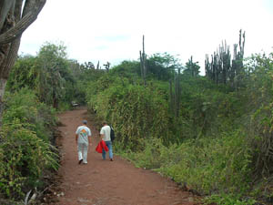 Jason & Andres walk through the flora at the Charles Darwin Research Station in the Galapagos Islands.